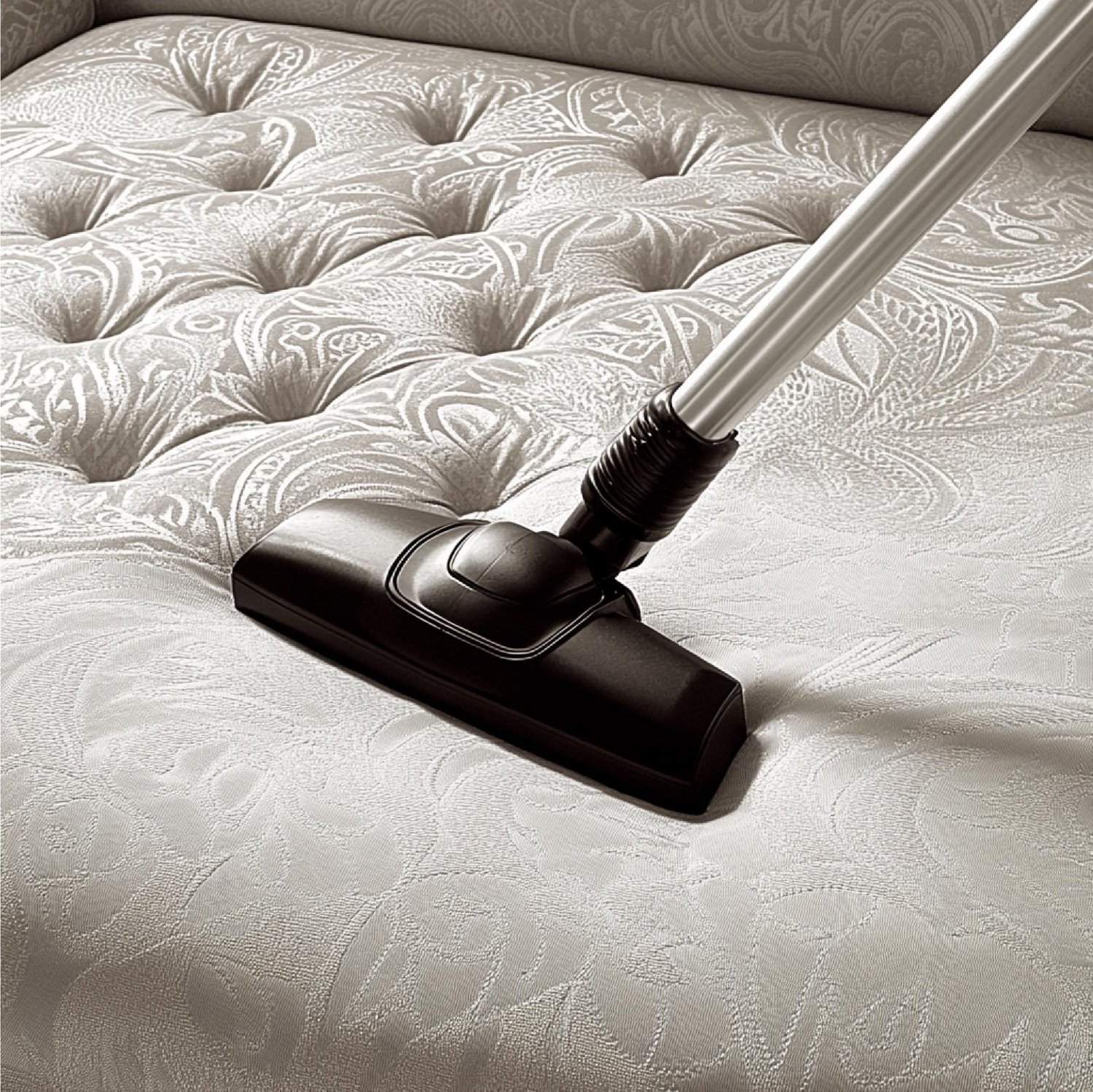 Mattress Cleaning (Single)